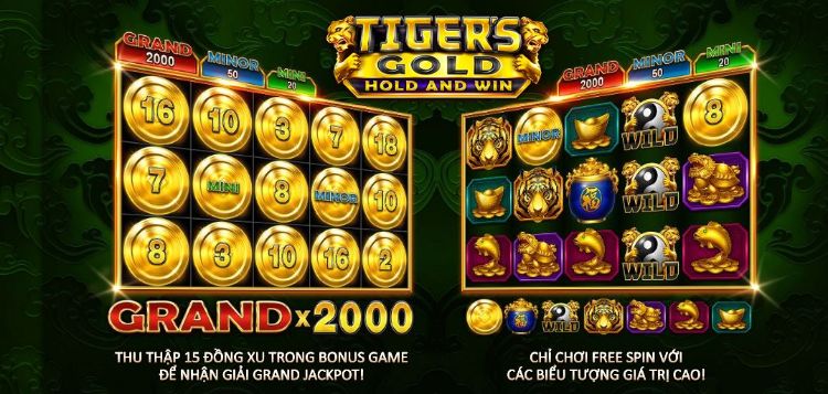 tiger gold
