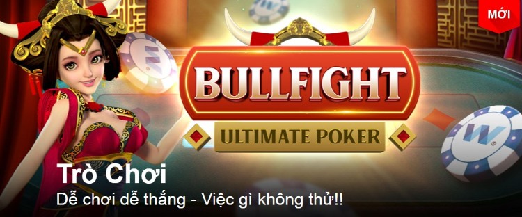 Bull Fight
